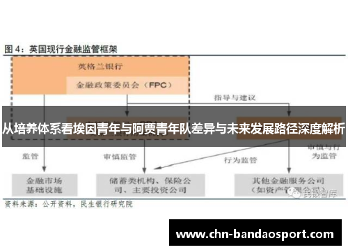 从培养体系看埃因青年与阿贾青年队差异与未来发展路径深度解析